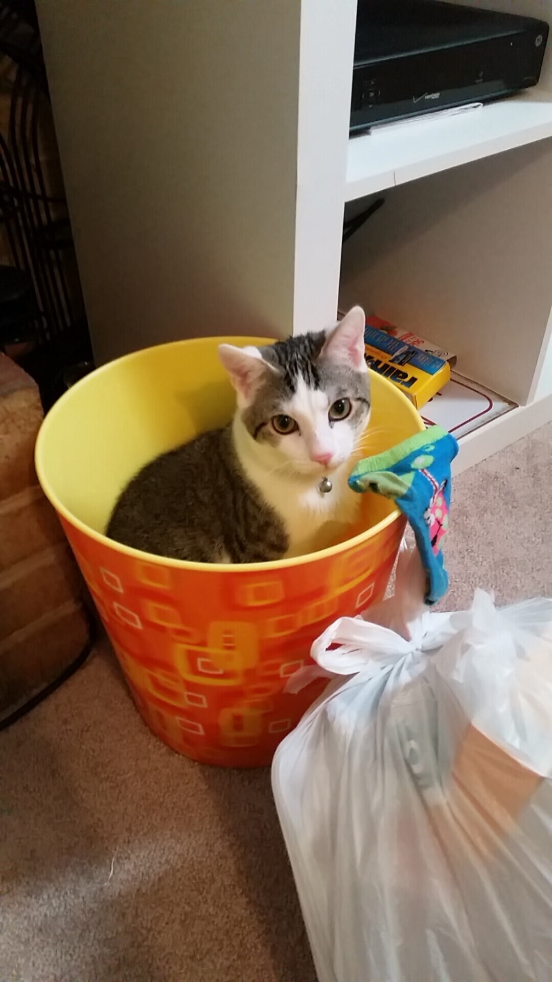 无声的深海暗流，若日尼奥以马里节奏窒息西班牙