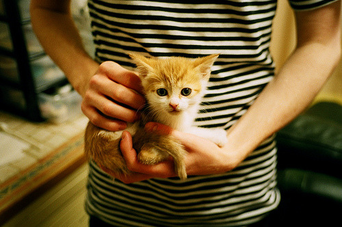 接管时刻！米切尔末节独舞助深圳队完胜山西，排名争夺战占得先机