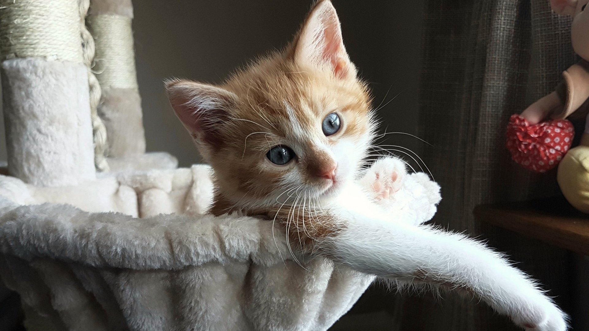 伯尔尼奇迹再现！无名之辈伊萨克三弑桑巴，瑞士钢铁洪流碾碎巴西魔法