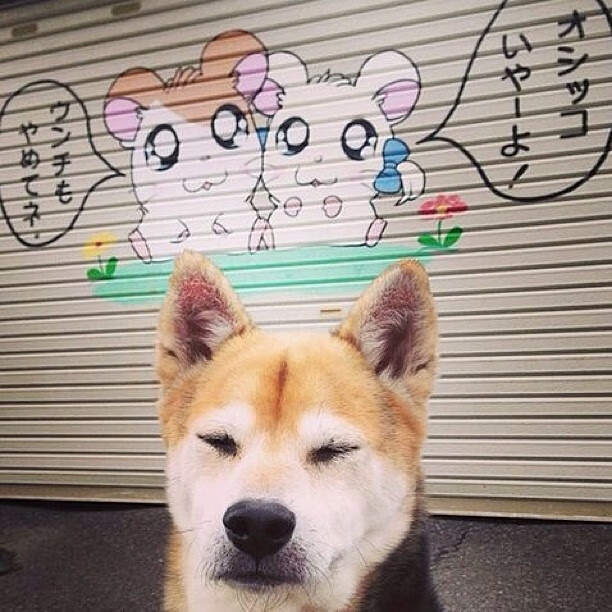 引擎之心，爱德华兹如何点燃F1街道赛的团队之魂