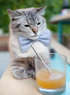 不可复制的瞬间,当F1方格旗落下时,篮球正在创造永恒