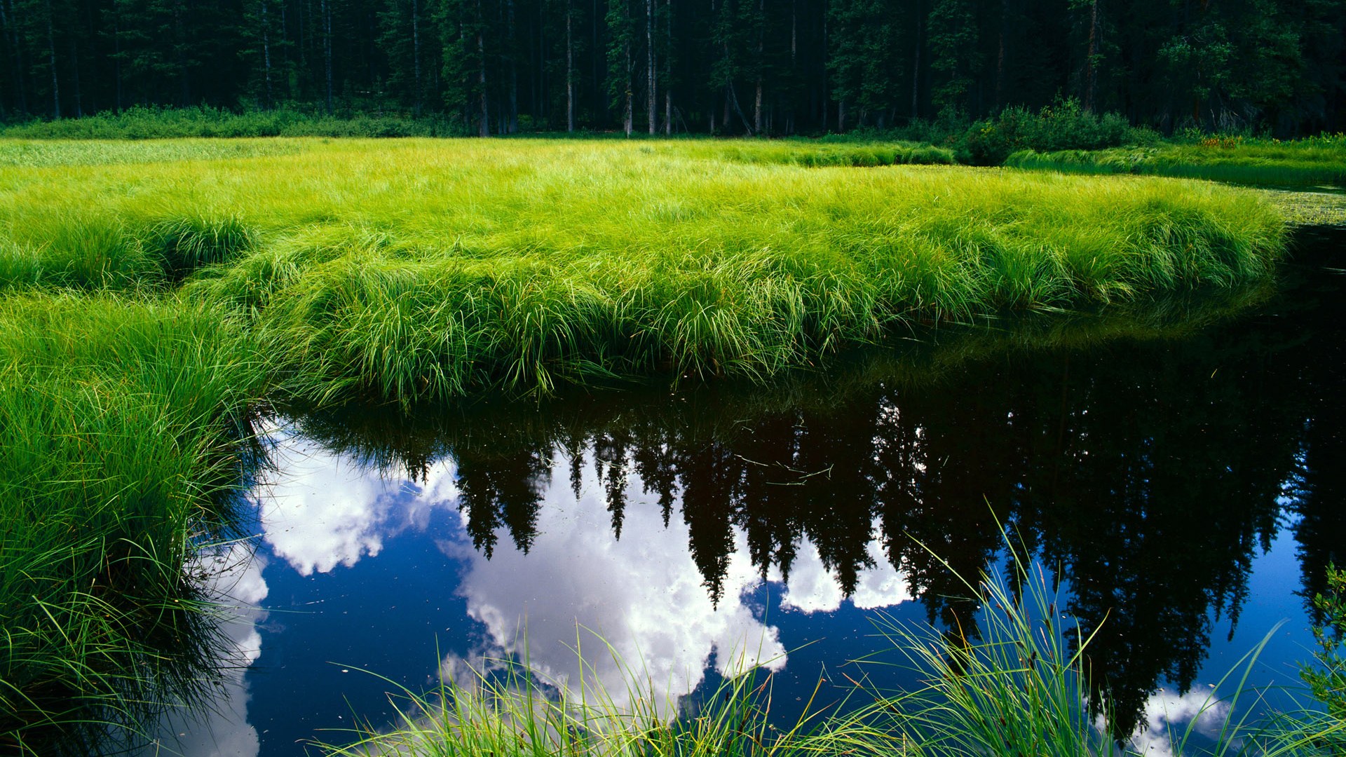 开云体育-最后的秒表滴答声，当布鲁诺的双拳击碎预言