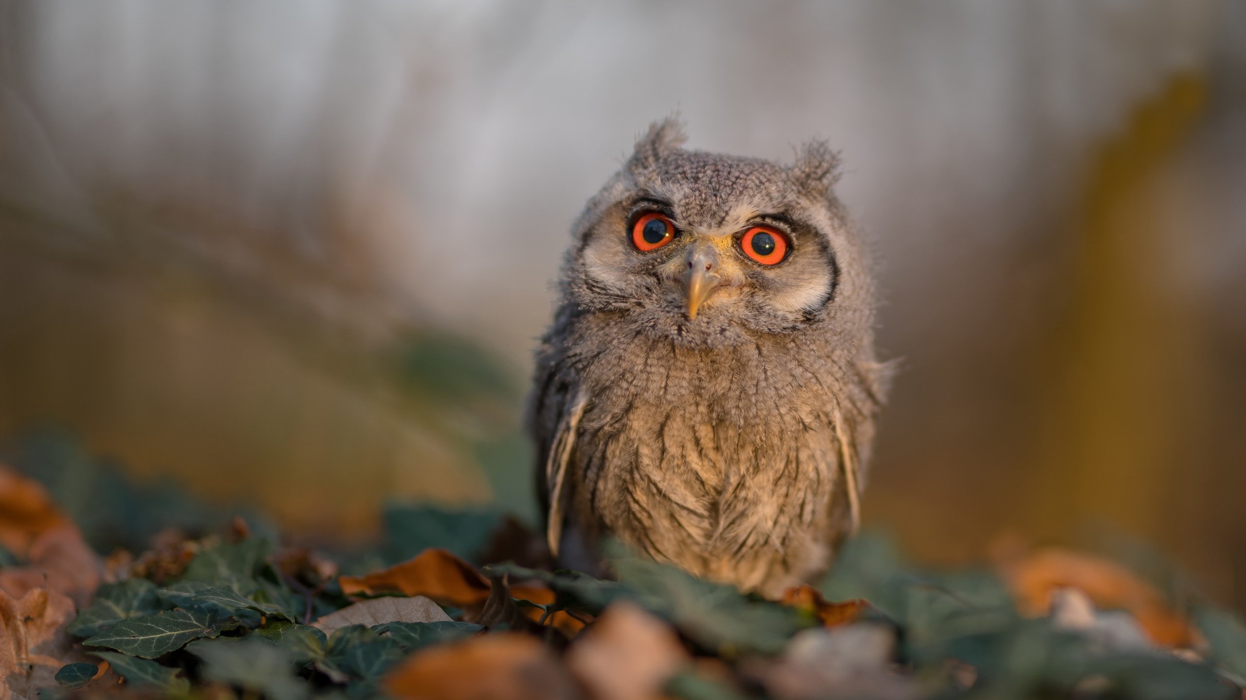 开云体育-冰火之夜，阿什拉夫的独舞与抢七的生死棋局