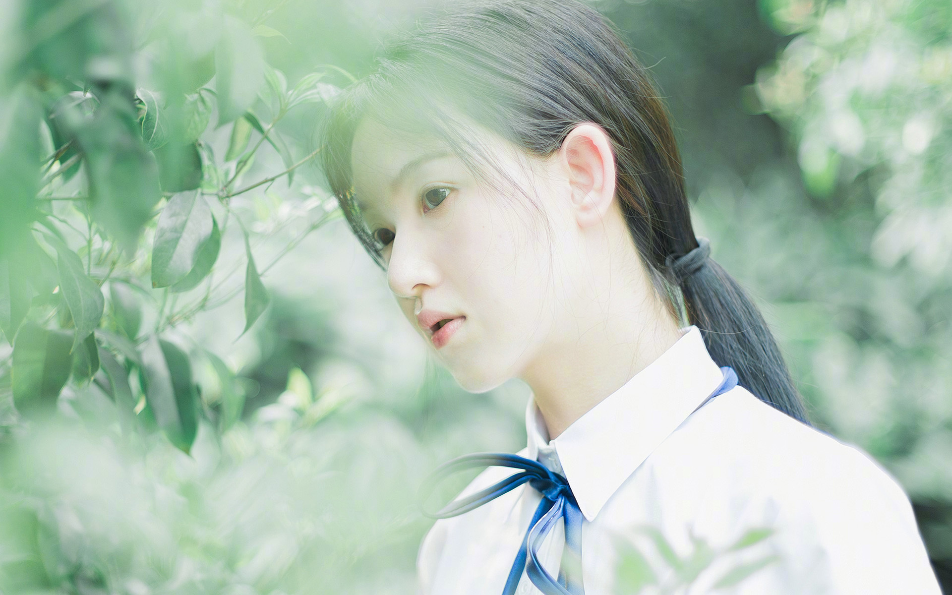 欧冠之夜的特殊对决，当莱比锡红牛遭遇伊拉克，巴雷拉用一记重炮撕裂沉默