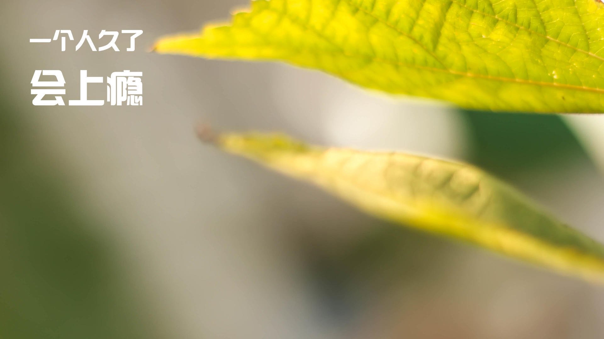 开云sport-终局，只有一个人能站在顶点