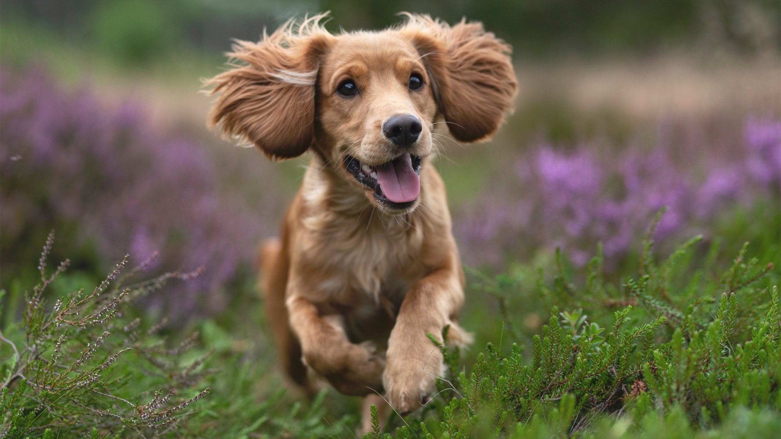 开云体育官网-分水岭，罗德里如何在赫尔辛基的寒夜中重塑北欧足球叙事