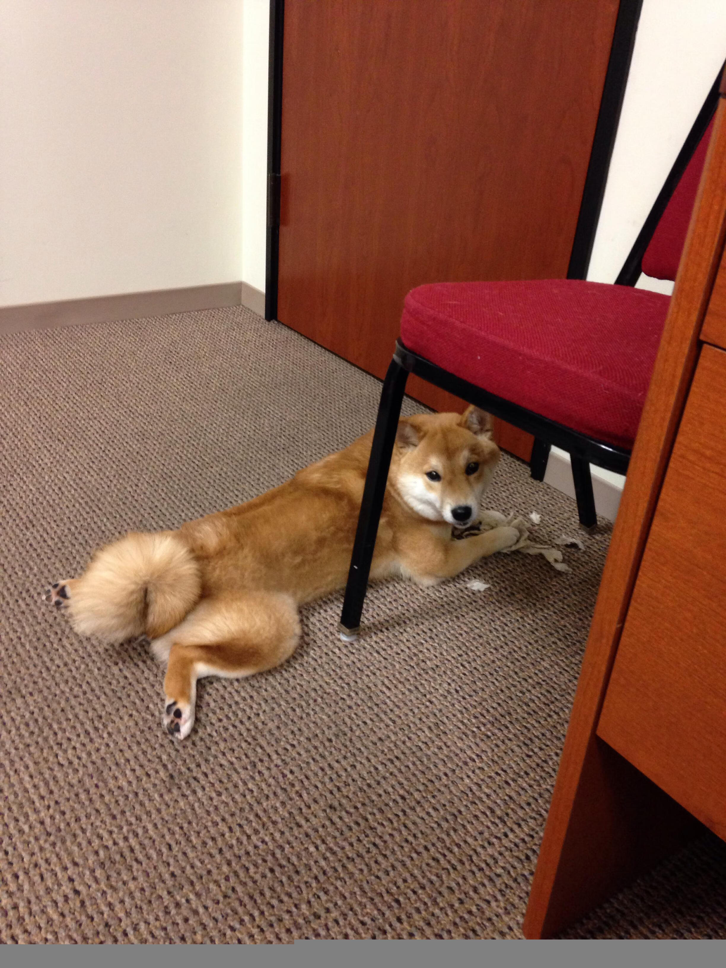 开云体育app-竞技场上的双重奏，当铁血团队与个人英雄主义同台闪耀