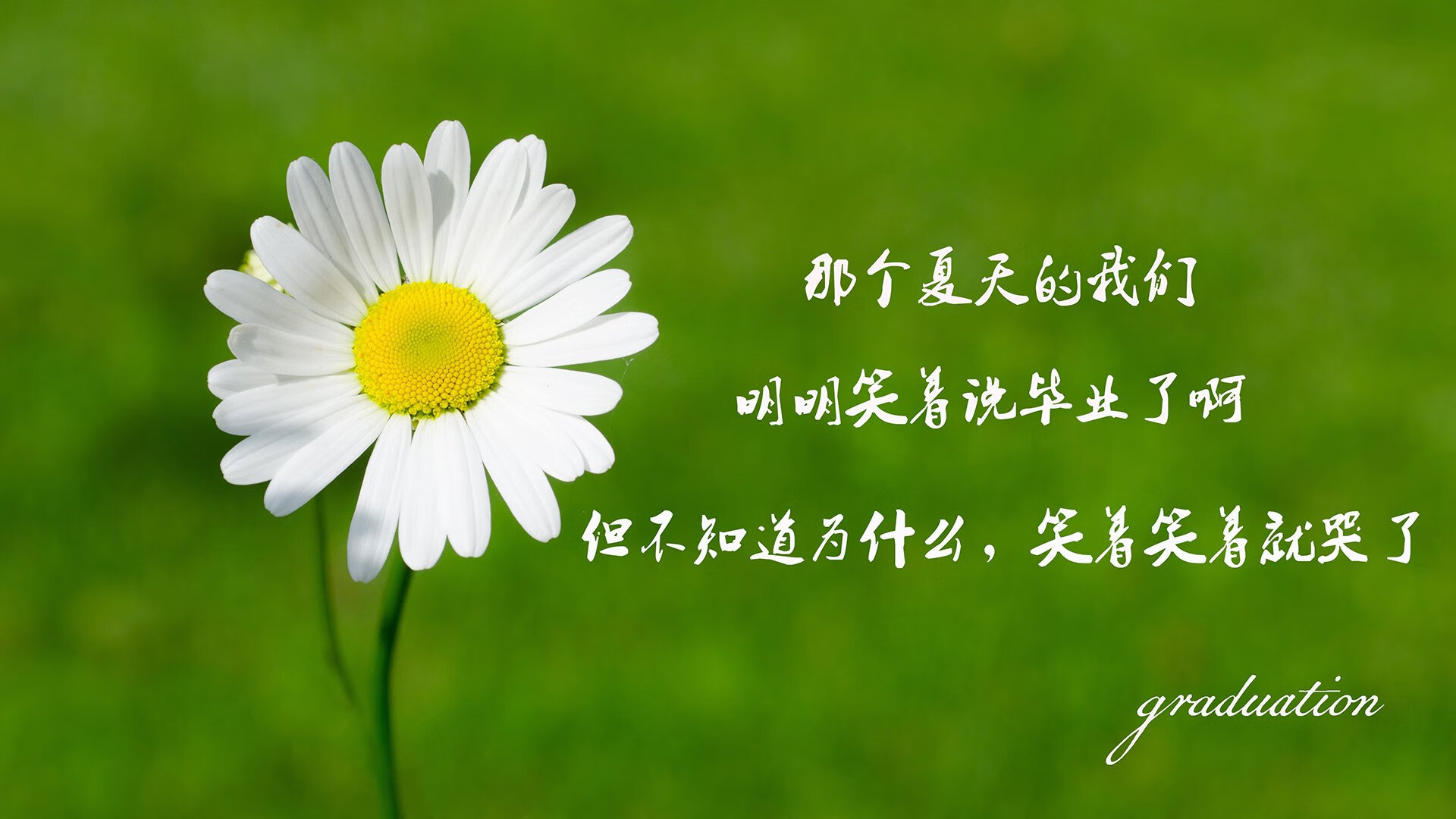 让我们先来扩展思维，构思几个不同风格的标题，再选择最契合的一个进行创作