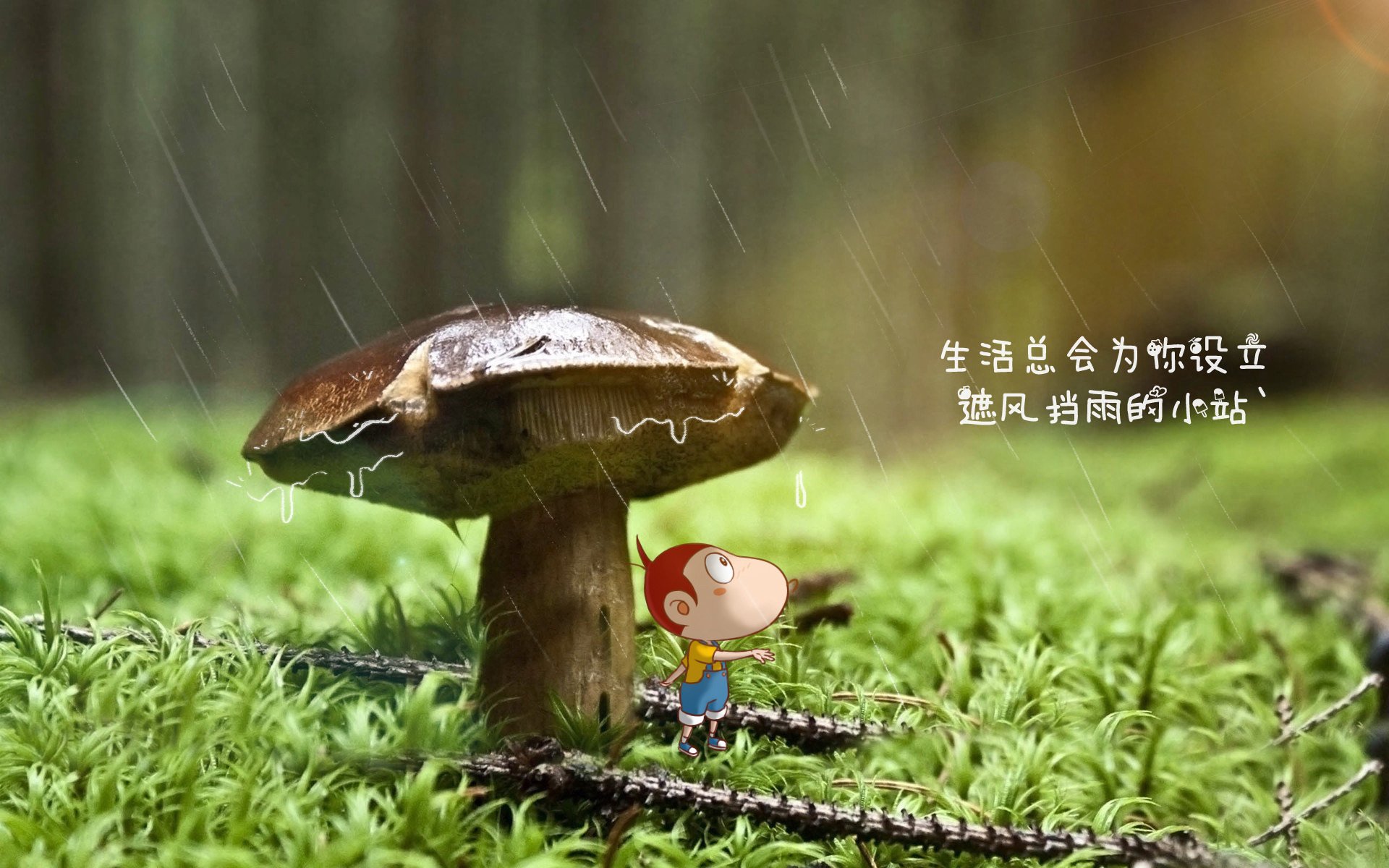 血洗与神迹，2026世界杯E组焦点战，波兰的团队风暴与贝林厄姆的上帝模式