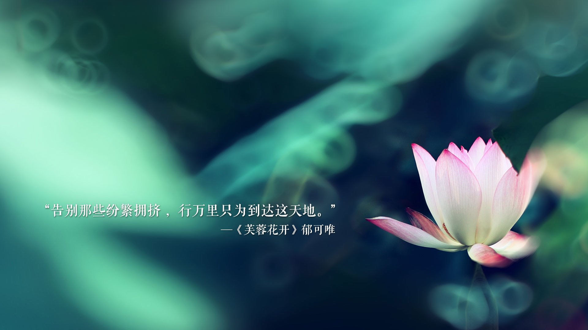 底格里斯河的怒火与太极虎的咆哮，2026年E组，两种足球强权的唯一救赎