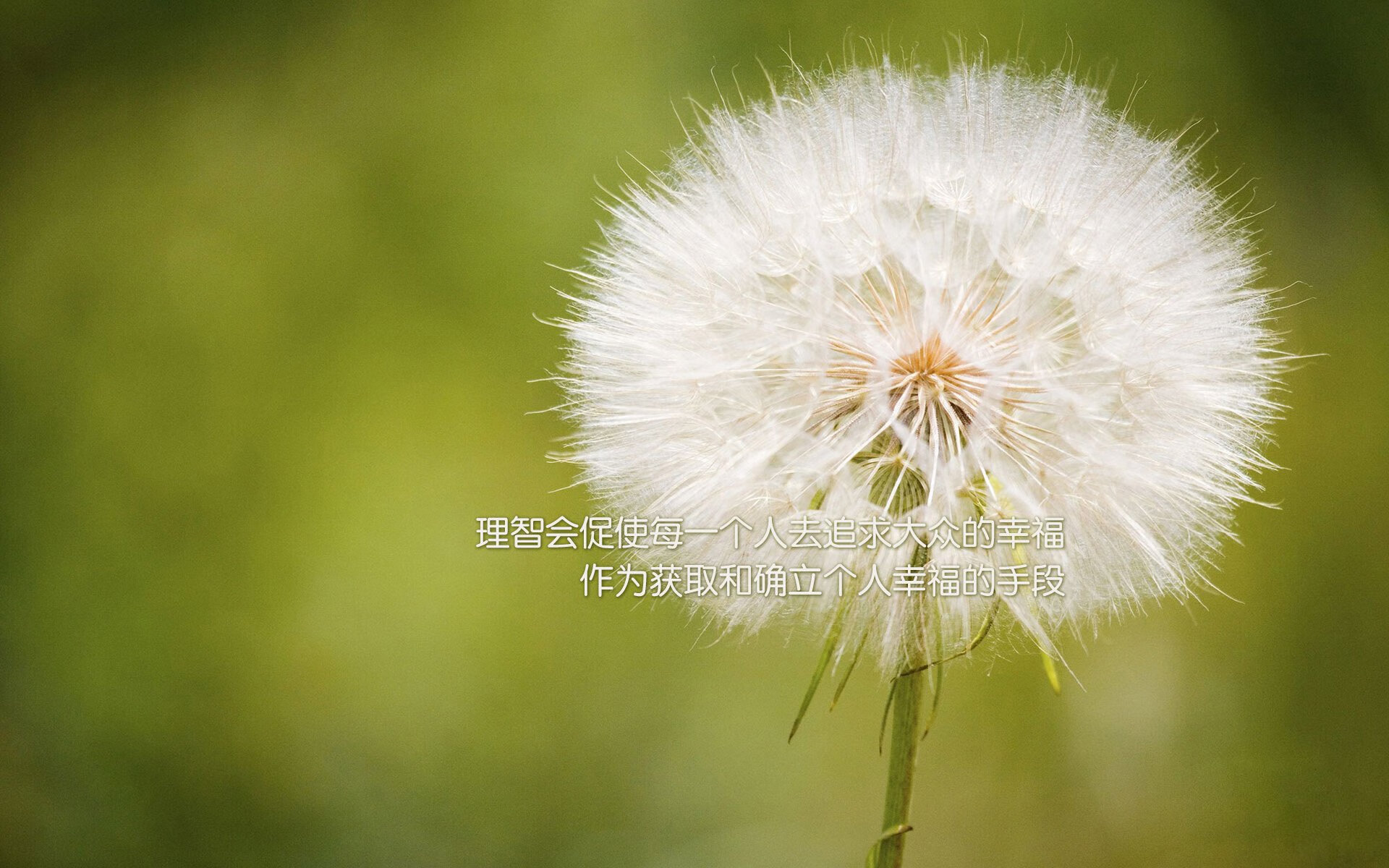 冰与火之歌，2026世界杯E组，冰岛绝境逆转伊拉克，萨内如神兵天降改写命运