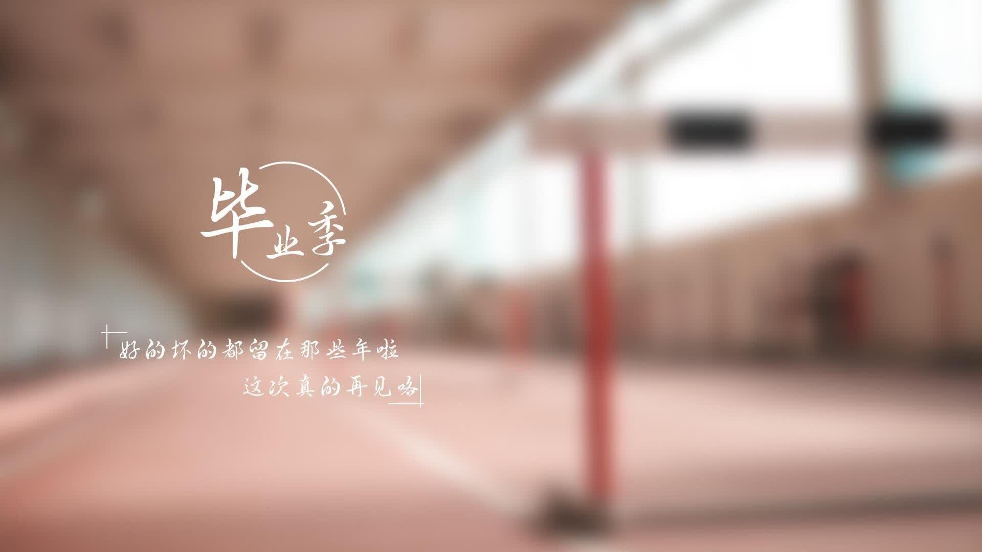 开云体育登录-孤注一掷的节奏，阿方索·戴维斯在2026世界杯B组生死战中撕裂意大利的钢铁防线