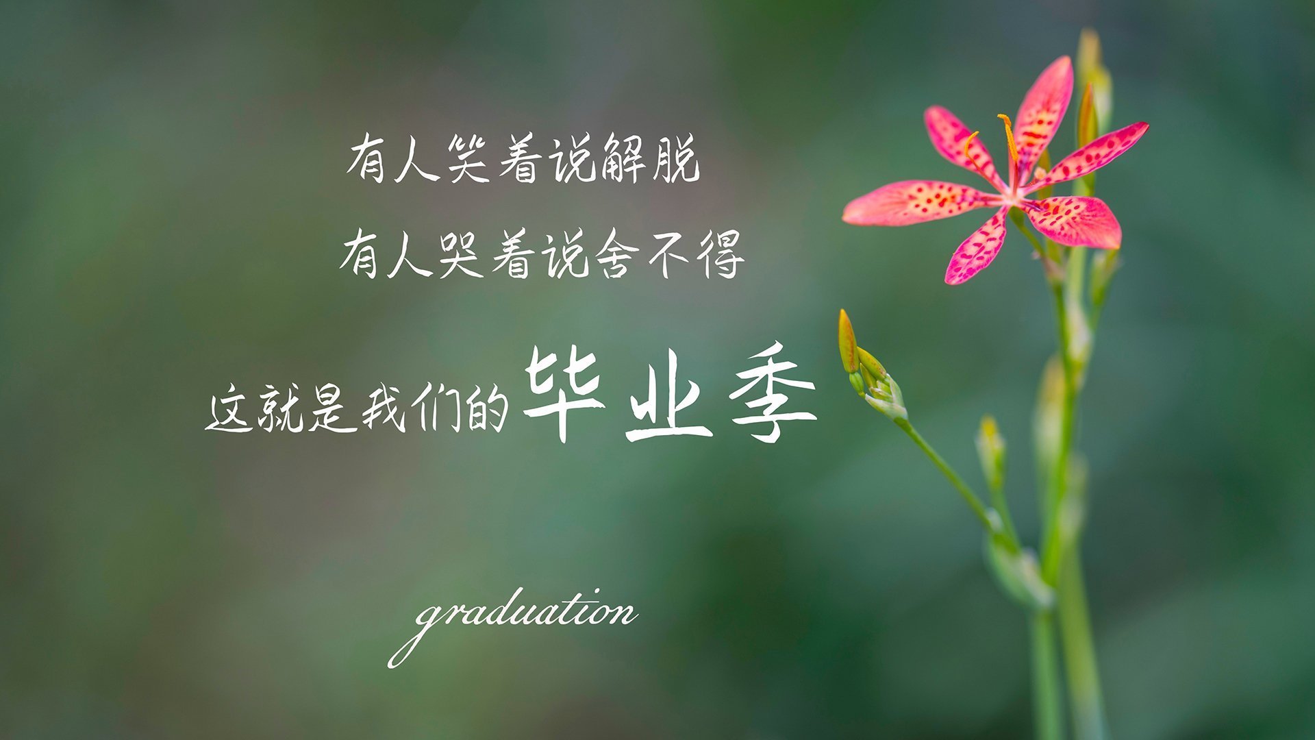 孤注一掷的节奏，阿方索·戴维斯在2026世界杯B组生死战中撕裂意大利的钢铁防线